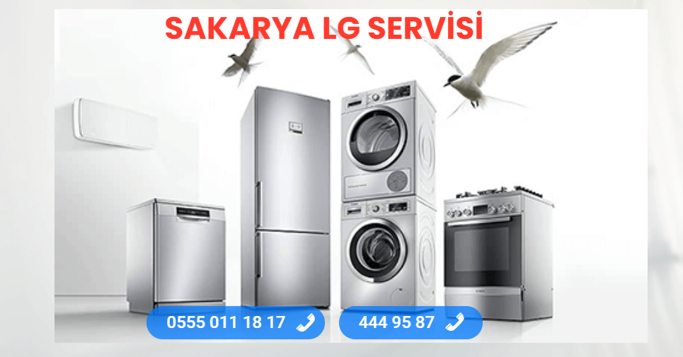 Sakarya LG Servisi